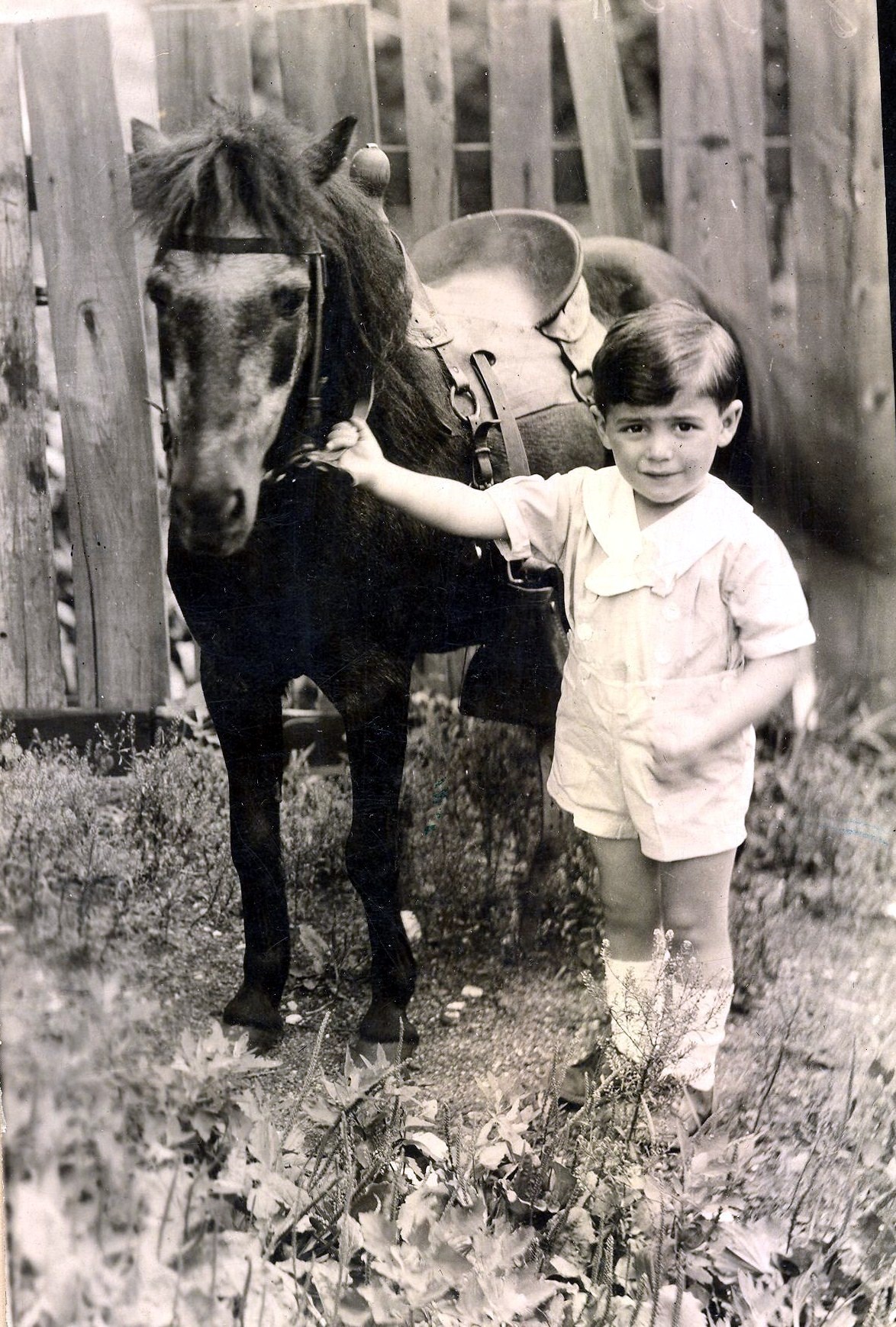 Young boy connected to the Rosario Leonardi family story